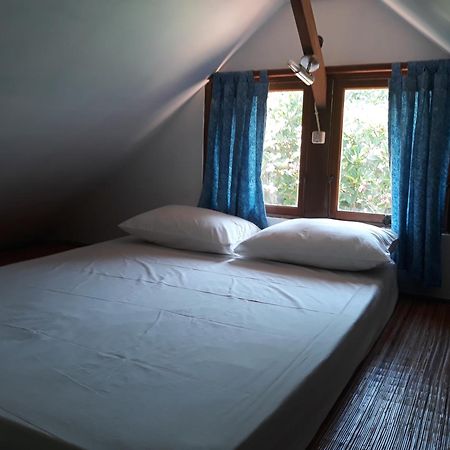 Le Jardin Amed Quarto foto